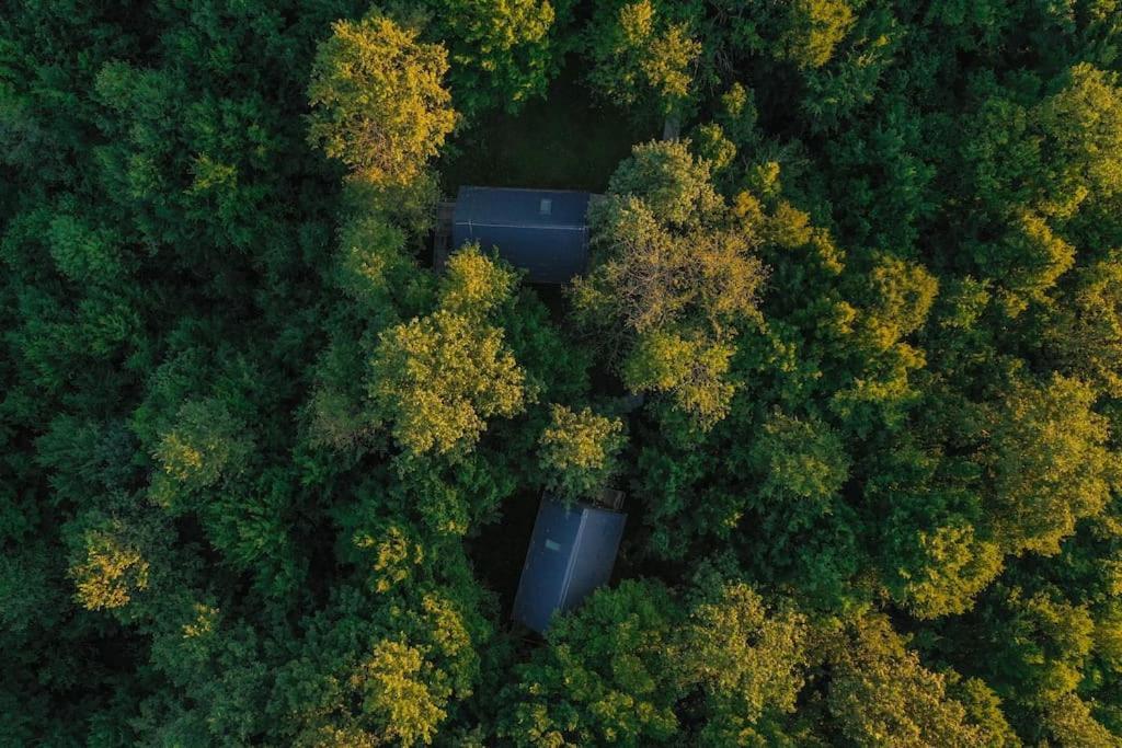 Апартаменты Tree Elements Treehouse Retreat Слуни Экстерьер фото