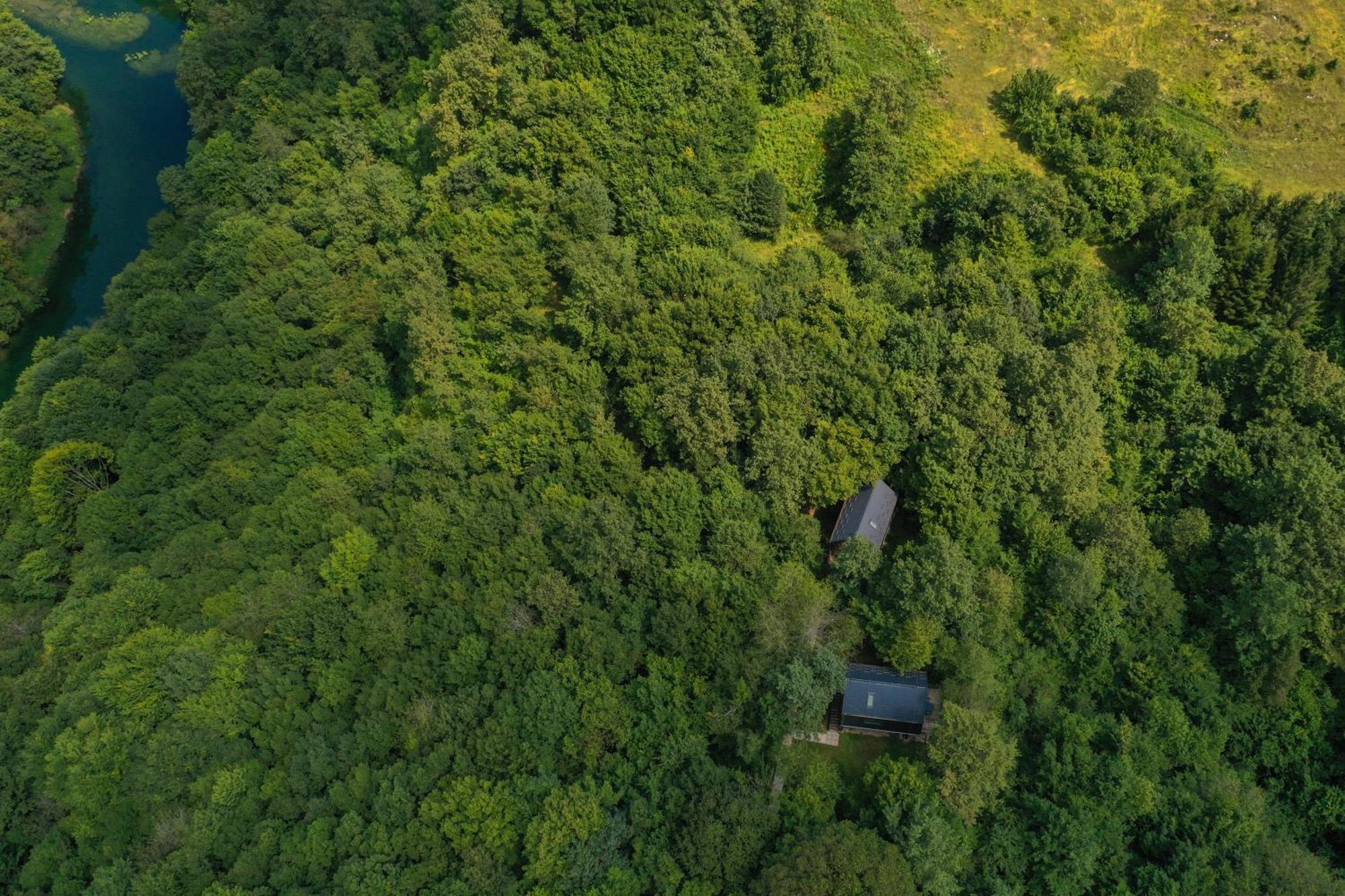 Апартаменты Tree Elements Treehouse Retreat Слуни Экстерьер фото