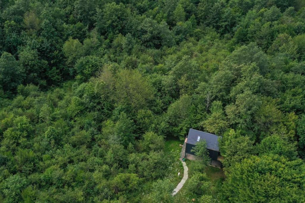 Апартаменты Tree Elements Treehouse Retreat Слуни Экстерьер фото