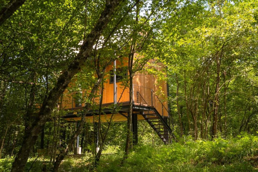 Апартаменты Tree Elements Treehouse Retreat Слуни Номер фото