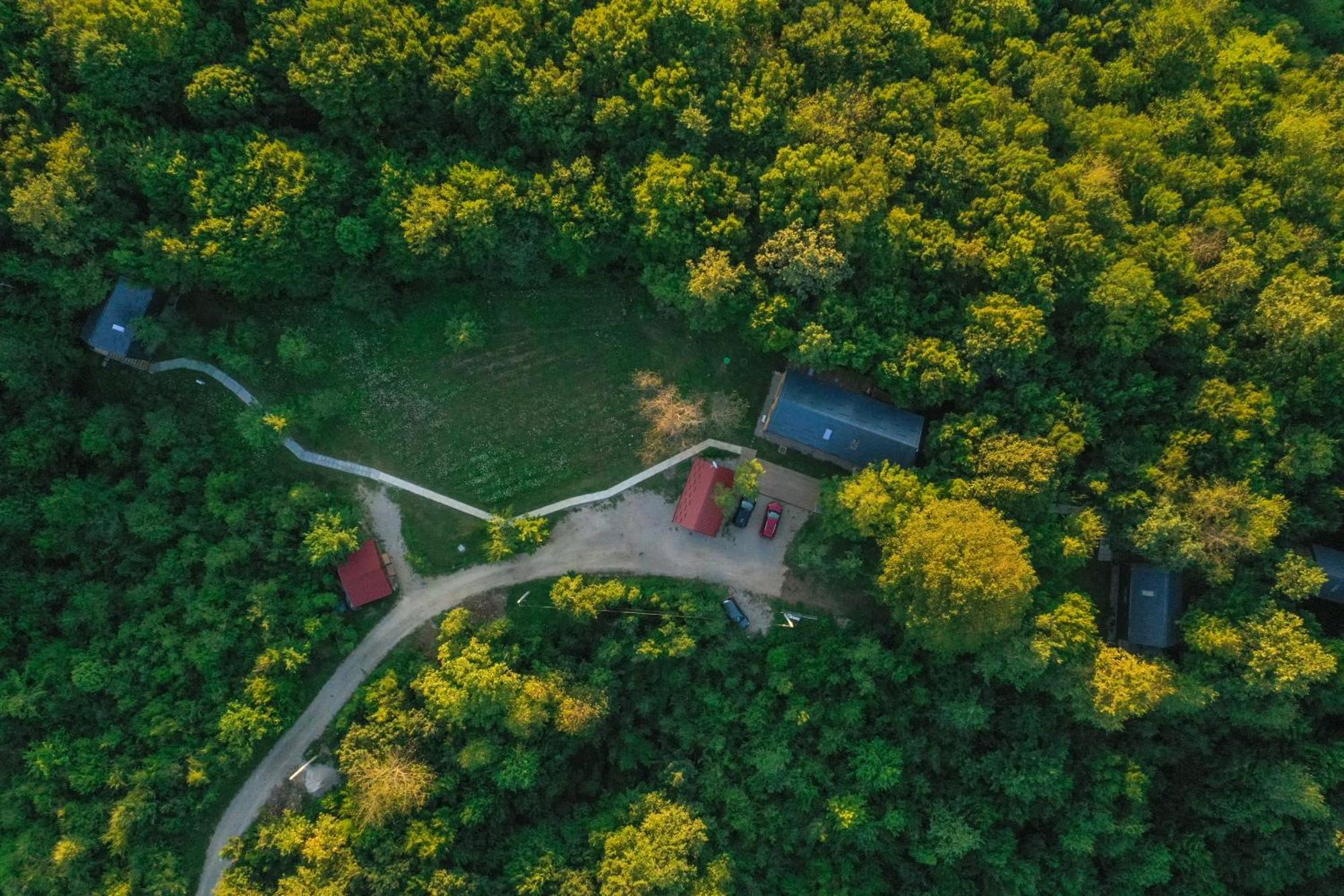 Апартаменты Tree Elements Treehouse Retreat Слуни Номер фото